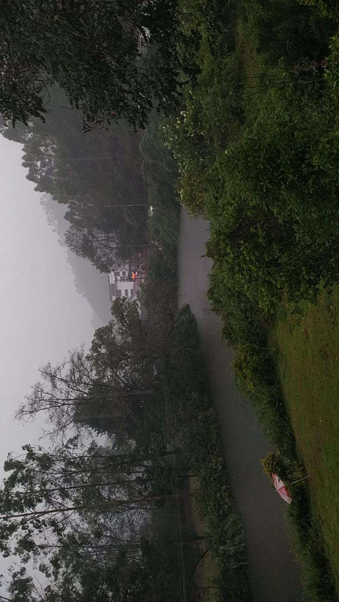 Sisiram River Side Munnar Luaran gambar